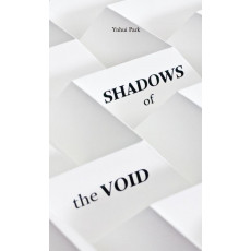 Shadows of the VOID