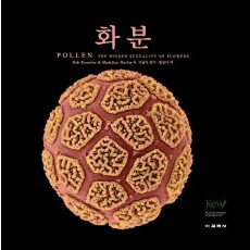 Pollen 화분