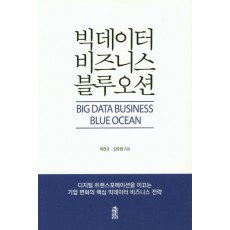 빅데이터 비즈니스 블루오션