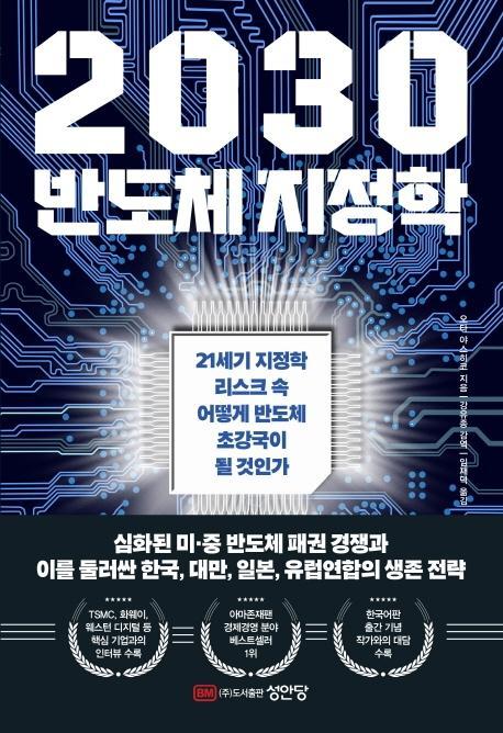 2030 반도체 지정학