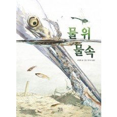 물 위 물속