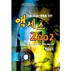 액세스 2002