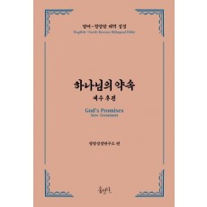 하나님의 약속: 예수 후편