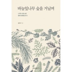 바늘잎나무 숲을 거닐며