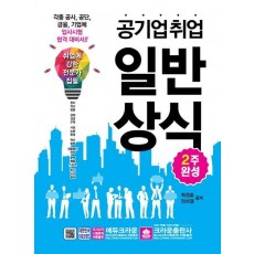 공기업취업 일반상식(2주완성)(2017)