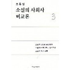 소설의 사회사 비교론 3