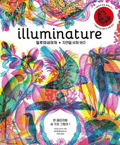 illuminature(일루미네이쳐)