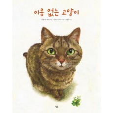 이름 없는 고양이