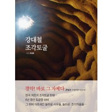 강대철 조각토굴