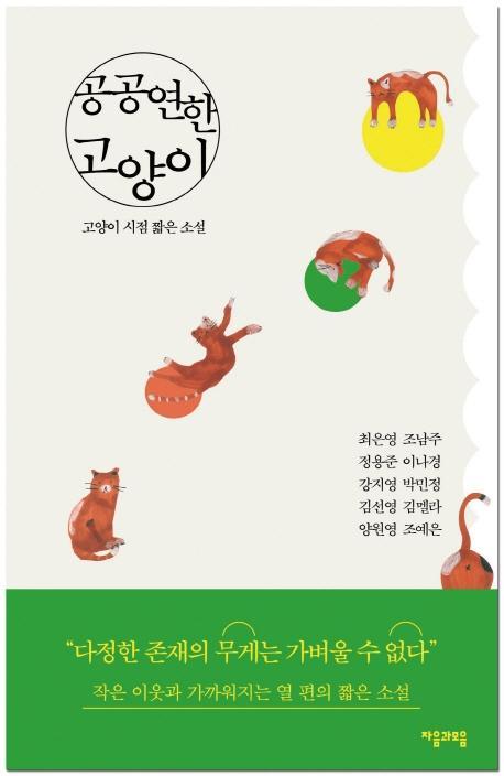 공공연한 고양이