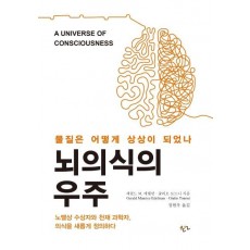 뇌의식의 우주