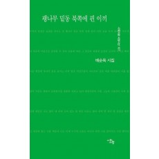 팽나무 밑동 북쪽에 핀 이끼