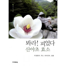 봐라 피었다 산야초 효소