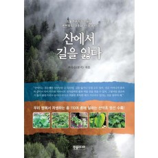 산에서 길을 잃다