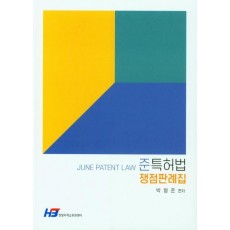 준특허법 쟁점판례집