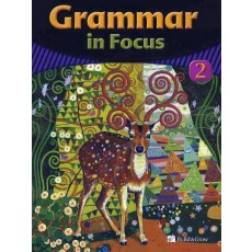 GRAMMAR IN FOCUS. 2