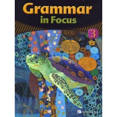 GRAMMAR IN FOCUS. 3