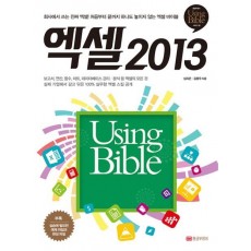 엑셀 2013 Using Bible