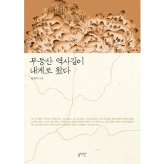 무등산 역사길이 내게로 왔다