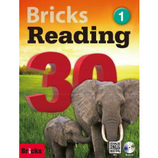 Bricks Reading 30. 1