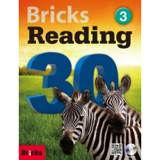 Bricks Reading 30. 3