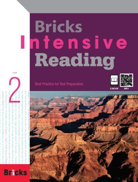 Bricks Intensive Reading. 2