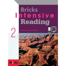 Bricks Intensive Reading. 2