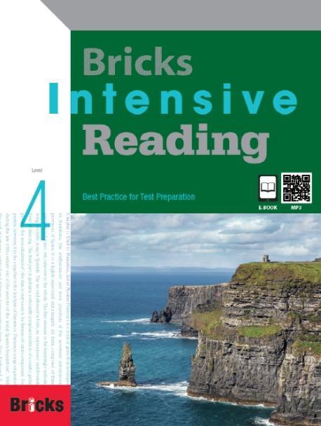 Bricks Intensive Reading. 4