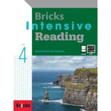 Bricks Intensive Reading. 4