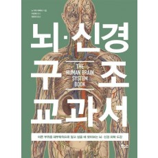 뇌 신경 구조 교과서