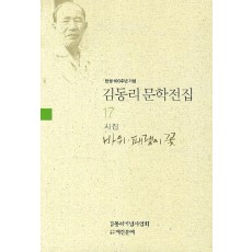 탄생 100주년 기념 김동리 문학전집. 17: 바위 패랭이 꽃