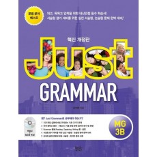 Just Grammar. MG 3B