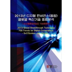 2013년 디지털 컨버전스(융합) 글로벌 혁신기술 종합분석 세트: 시스템온칩(SoC) 700트랜드