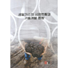 셰일가스의 시장현황과 기술개발 동향