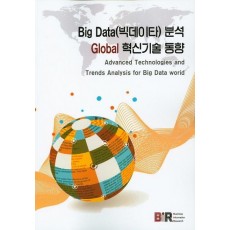 Big Data(빅데이타) 분석 Global 혁신기술 동향