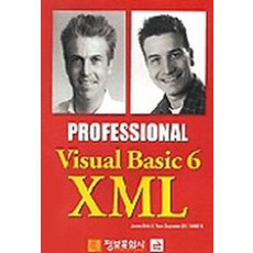 PROFESSIONAL VISUAL BASIC 6 XML