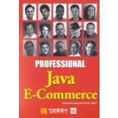 PROFESSIONAL JAVA E-COMMERCE