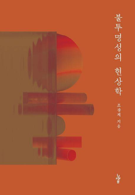 불투명성의 현상학