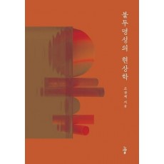 불투명성의 현상학
