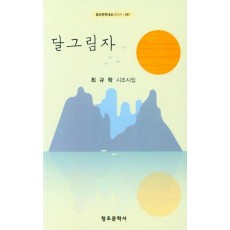 달그림자