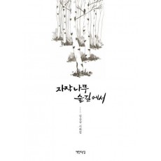 자작나무 숲길에서