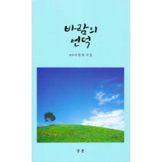 바람의언덕