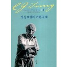 정신 요법의 기본 문제(융 기본 저작집 1)