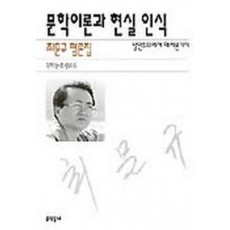 문학이론과 현실 인식(낭만주의에서 해체론까지)-최문규 평론집