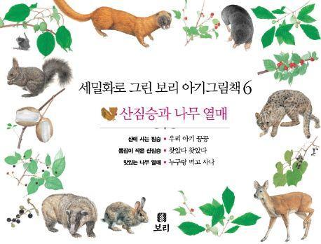 보리 아기그림책 6: 산짐승과 나무 열매