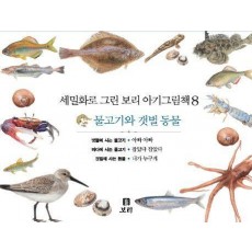 보리 아기그림책 8: 물고기와 갯벌 동물