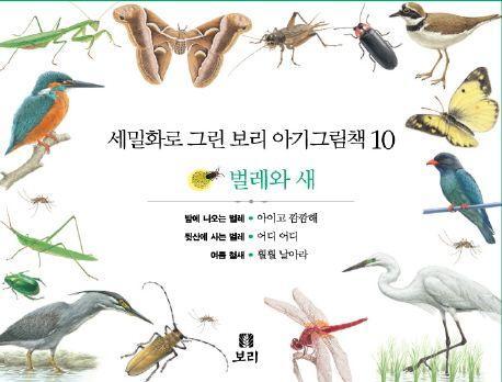 보리 아기그림책 10: 벌레와 새