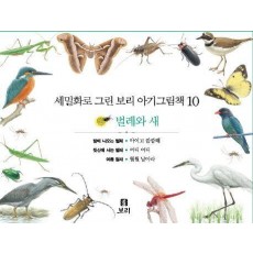 보리 아기그림책 10: 벌레와 새