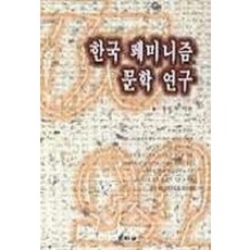 한국 페미니즘 문학연구