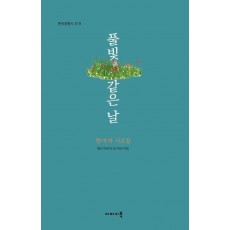 풀빛 같은 날